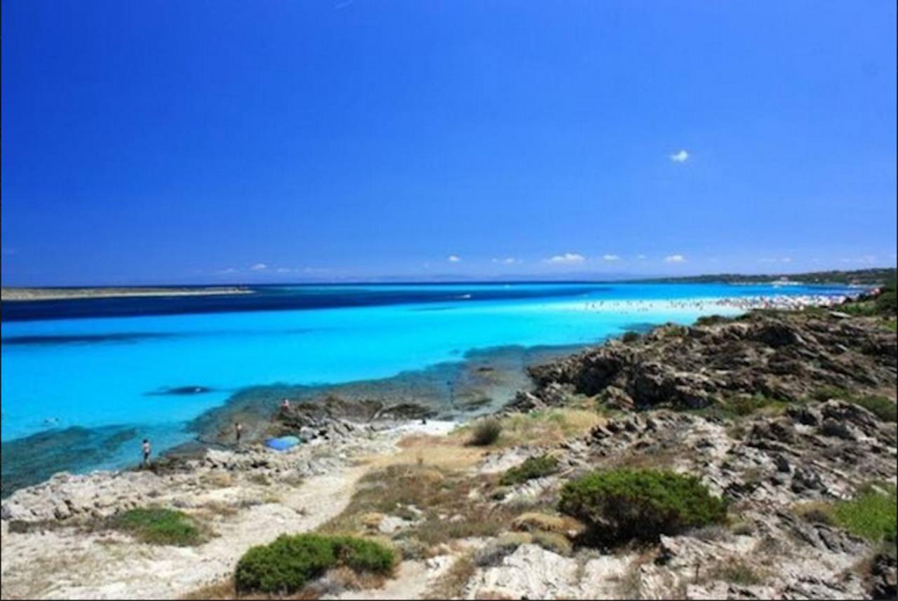 Mirti 13E Villa Stintino Luaran gambar